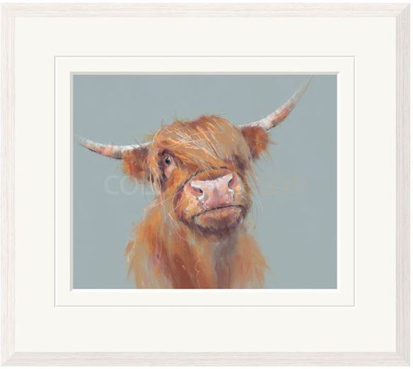 brodie framed print by artist nicky litchfield
