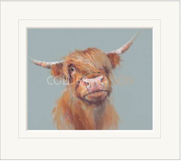 brodie mounted print by artist nicky litchfield