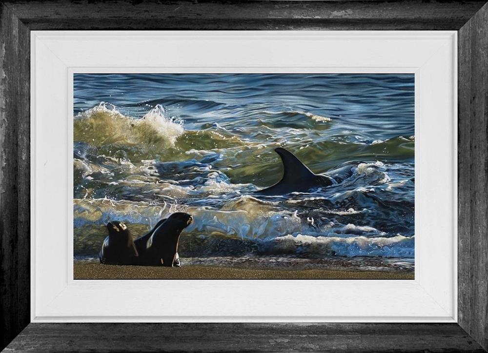 sunlit orca framed original by artist clare parkes