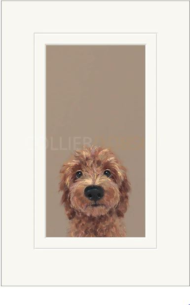 choose me mounted print by artist nicky litchfield