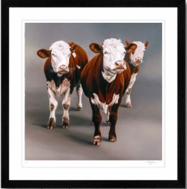 Cow Girls