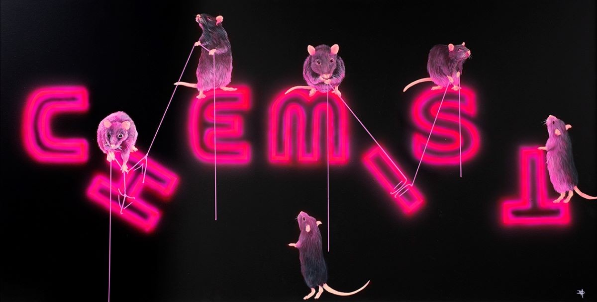 Rats Fixing Chemist