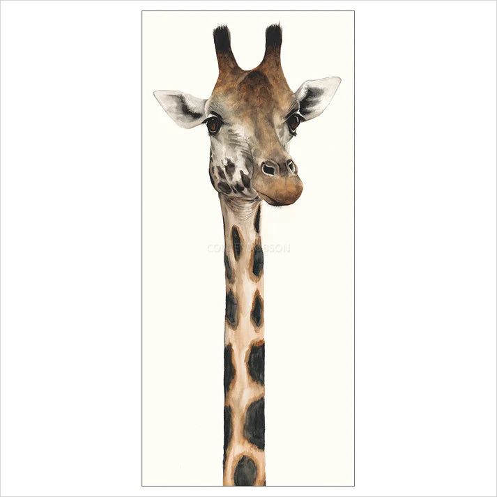 Tall, Dappled and Handsome