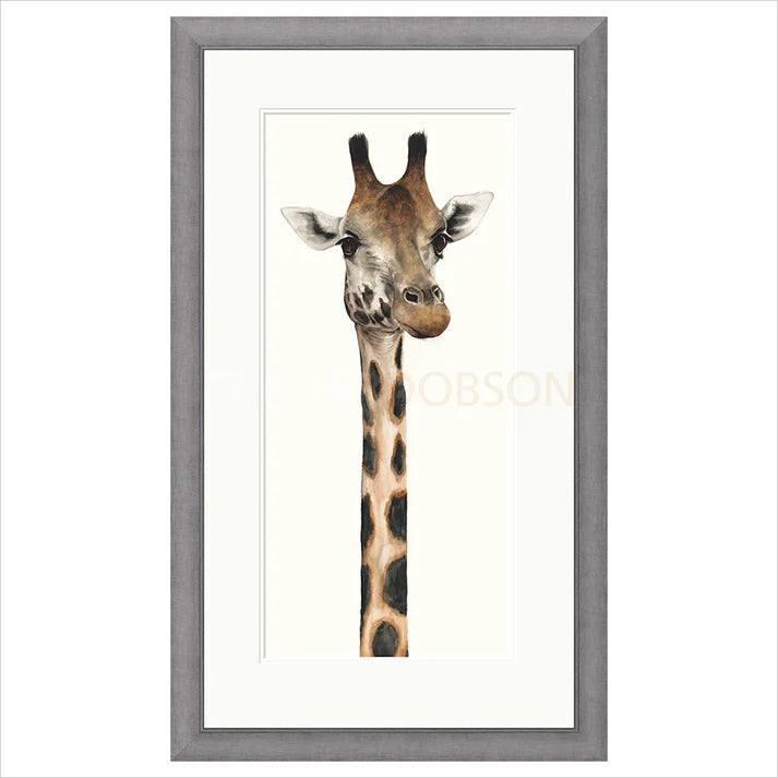 Tall, Dappled and Handsome