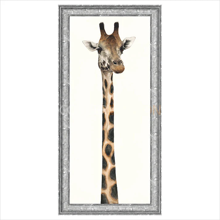 Tall, Dappled and Handsome