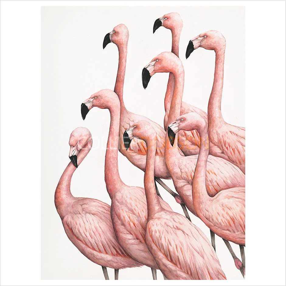 Decisions, Decisions!