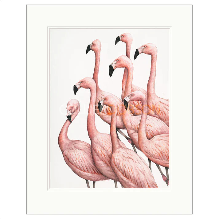 Decisions, Decisions!