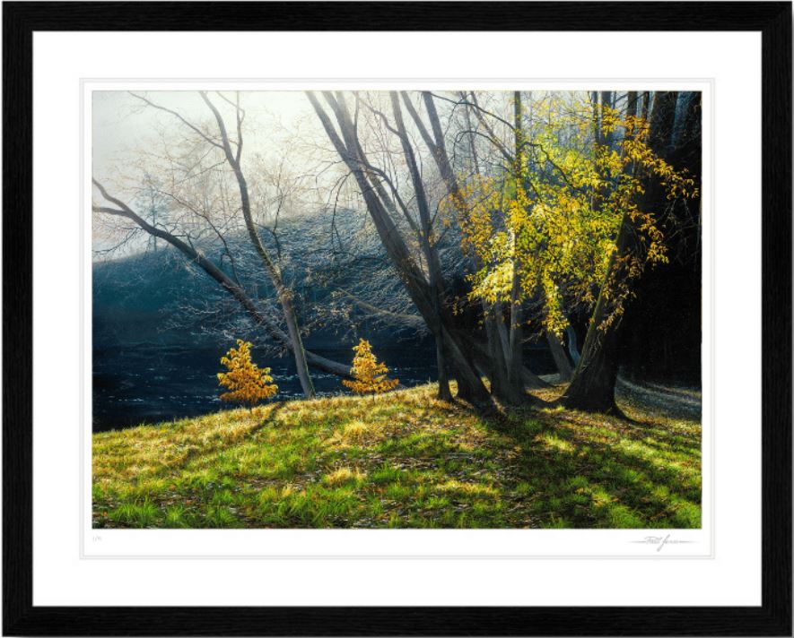 Depths of Autumn