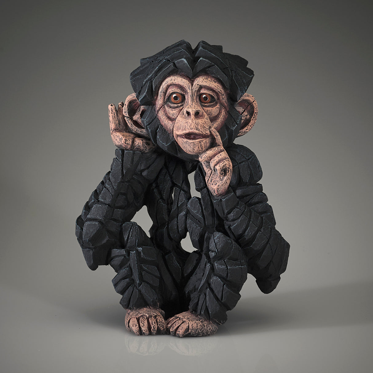 Baby Chimpanzee Hear No Evil