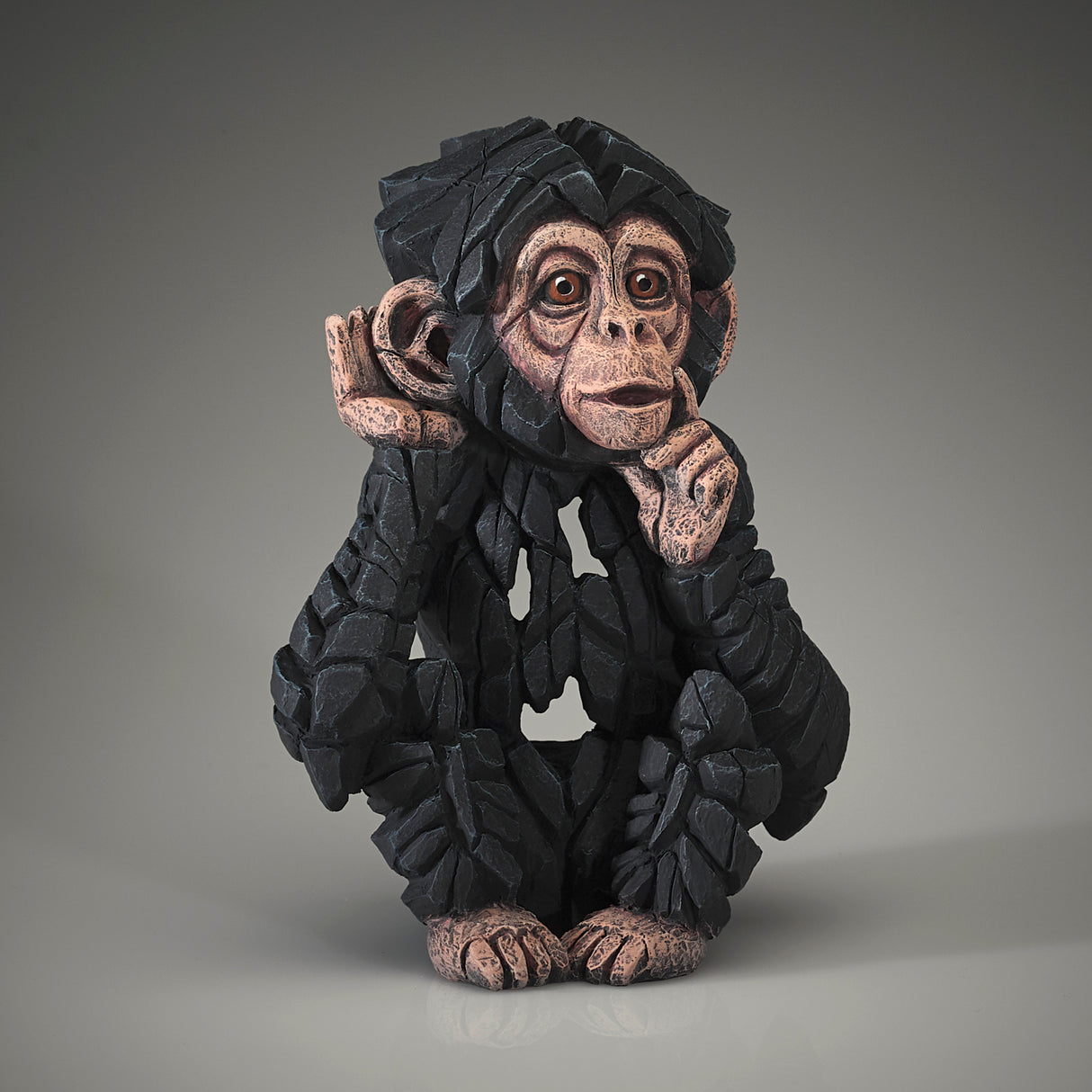 Baby Chimpanzee Hear No Evil