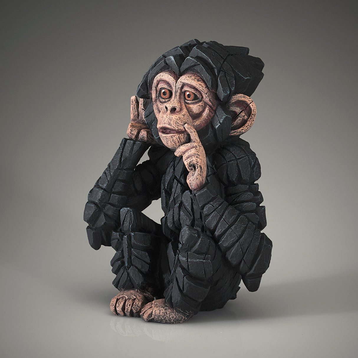 Baby Chimpanzee Hear No Evil