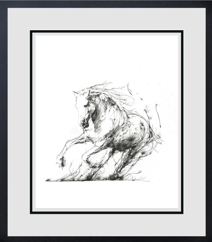 freedom framed print by artist scott tetlow