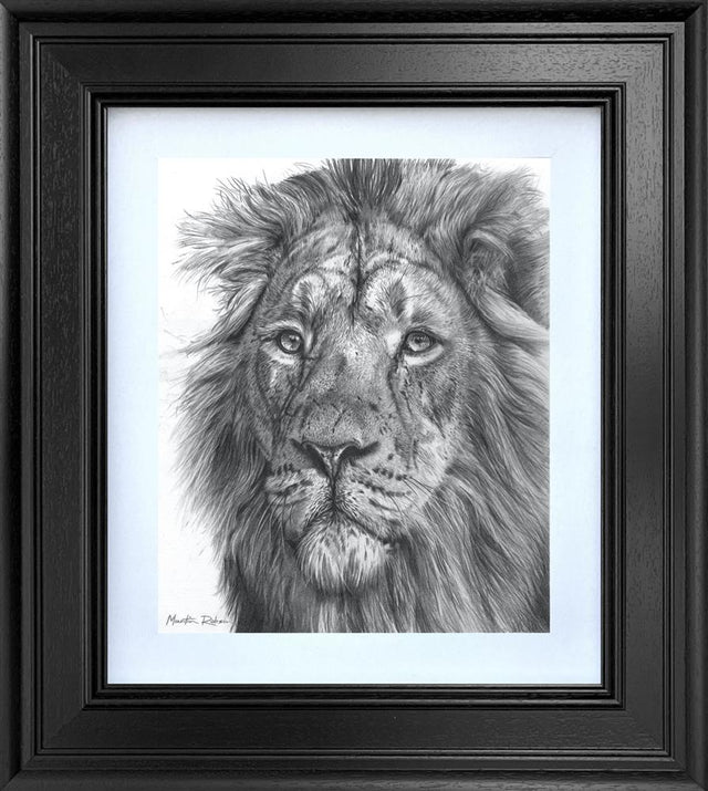 golden majesty study framed print by artist martin robson