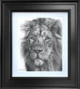 golden majesty study framed print by artist martin robson