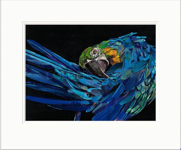 malachi mounted print by artist sarah jackson