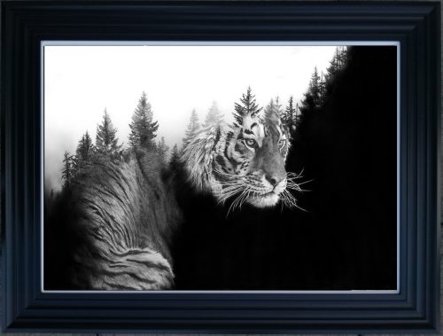 Out Of The Wilderness