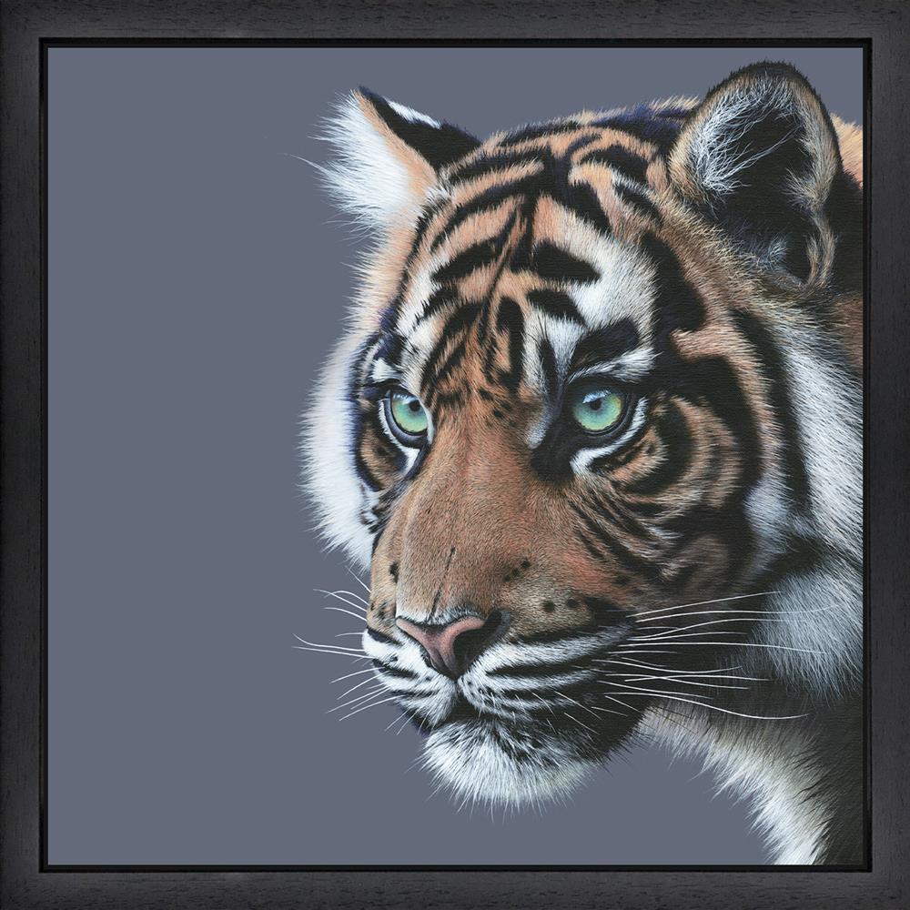 mesmerised framed print by artist martin robson