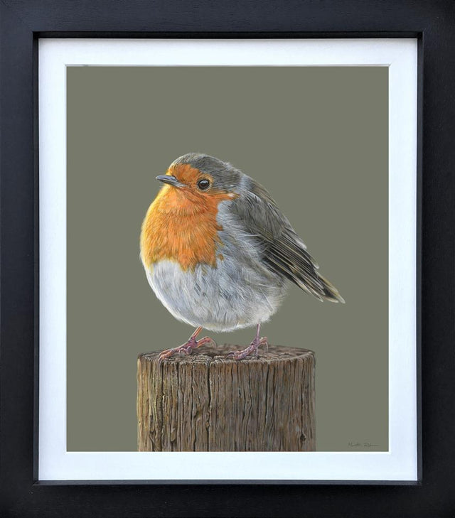 rosie framed print by artist amy louise
