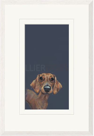 sausage framed print by artist nicky ltichfield