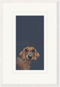 sausage framed print by artist nicky ltichfield