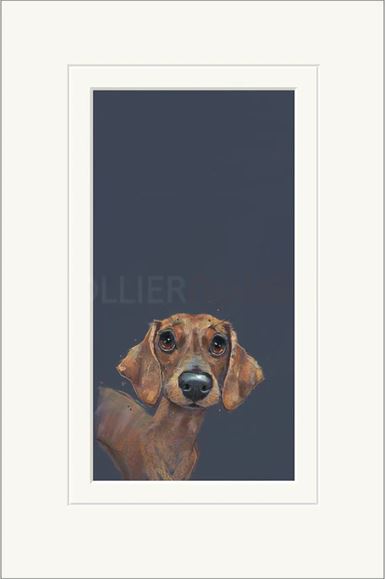 sausage mounted print by artist nicky litchfield