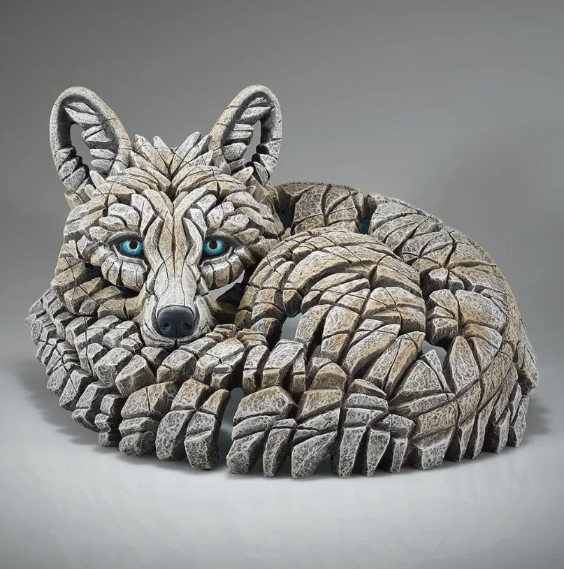 Curled Up Arctic Fox