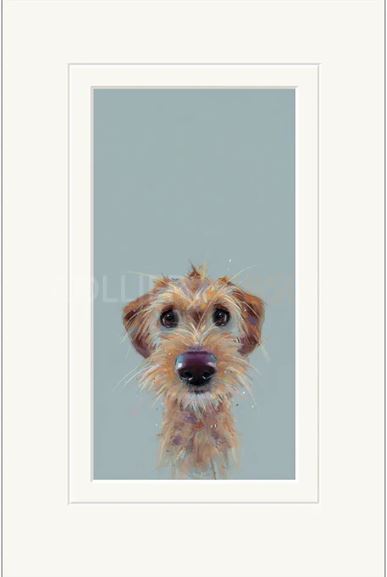 scruff mounted print by artist nicky litchfield