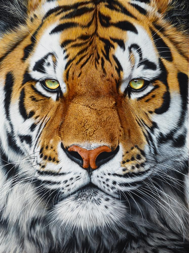 the prince framed print by artist martin robson