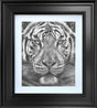 The Silent Warrior study framed print by artist martin robson