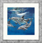 the pod framed print by artist sarah jackson