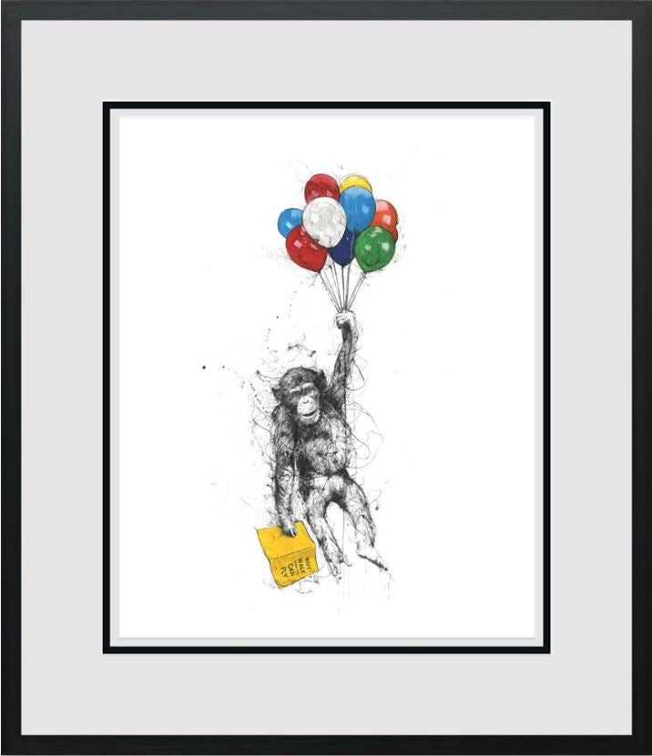 Why Walk When You Can Fly