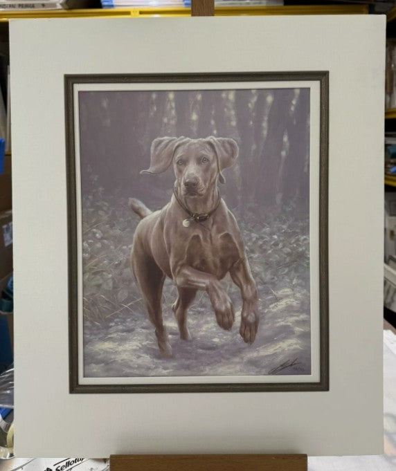 winter wonderland mounted print by artist john silver