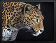 yala framed print by artist martin robson