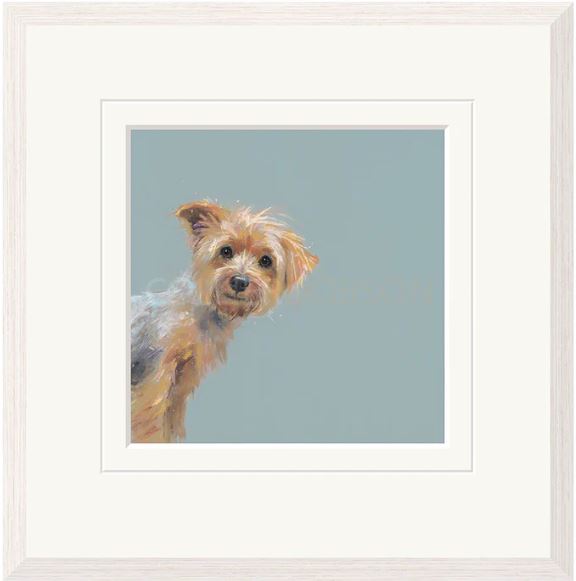 yorkie framed print by artist nicky litchfield