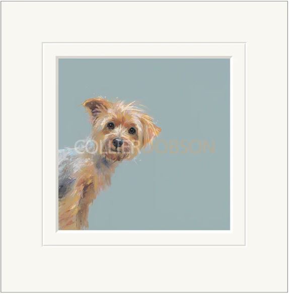 yorkie mounted print by artist nicky litchfield