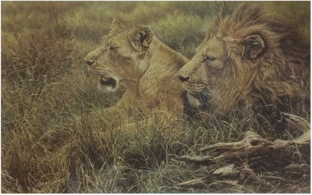 african gold print by artist alan hunt