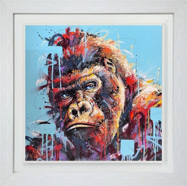 albert framed print by artist joe galindo