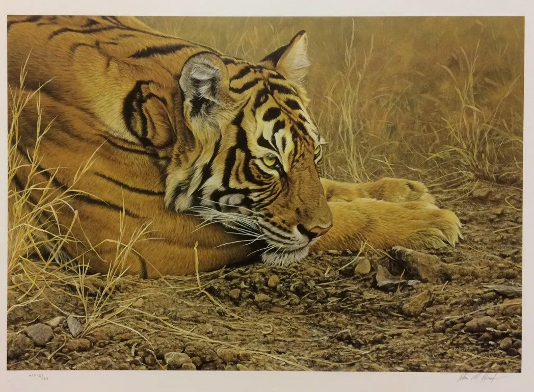 always alert print by artist alan hunt