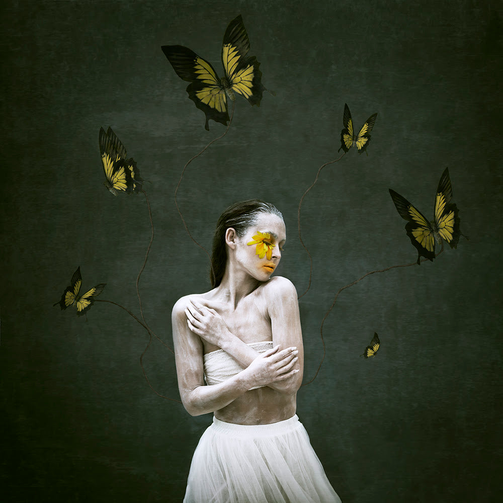 attached print by michelle mackie