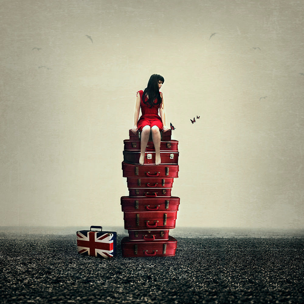 baggage print by artist michelle mackie