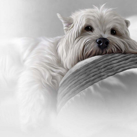 Bed Rest - Original Edition