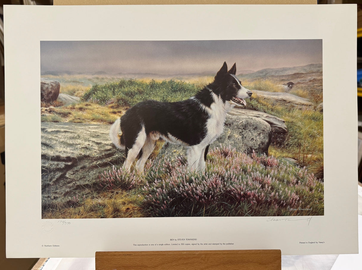 ben print by artist steven townsend