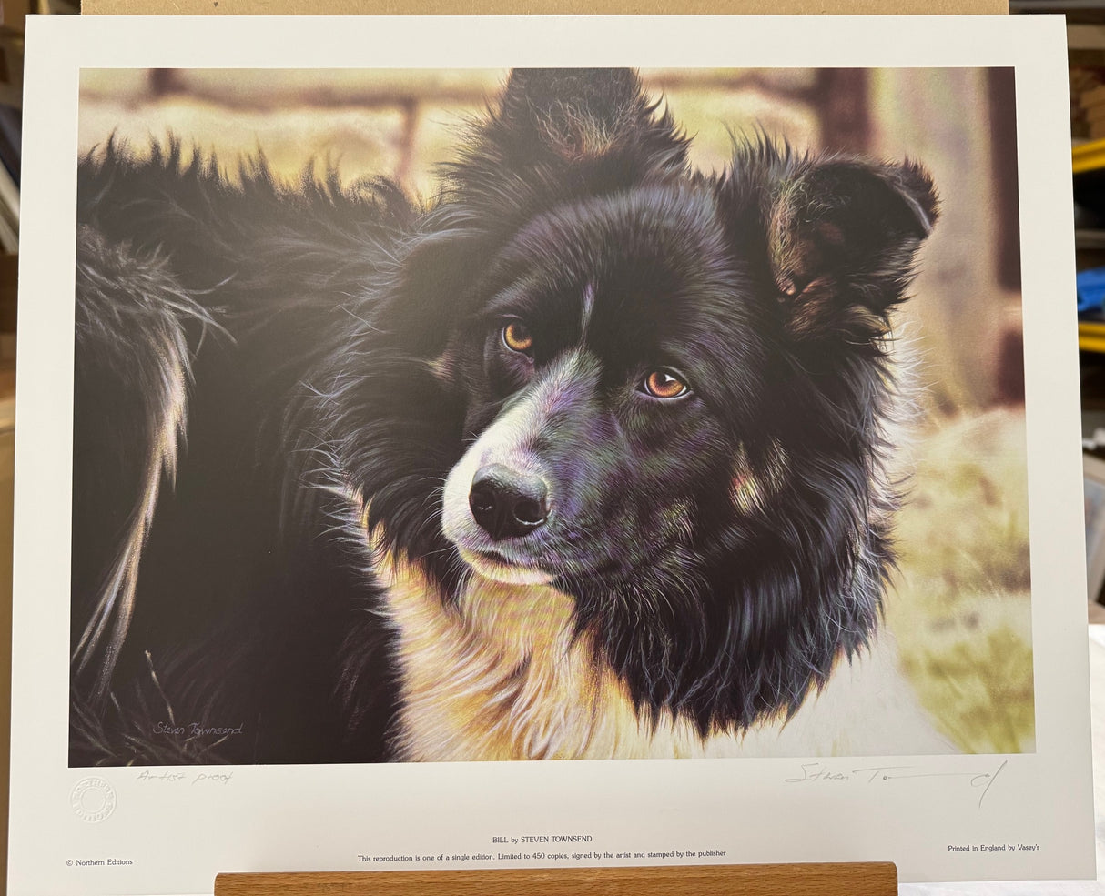 bill artist proof print only by artist steven townsend