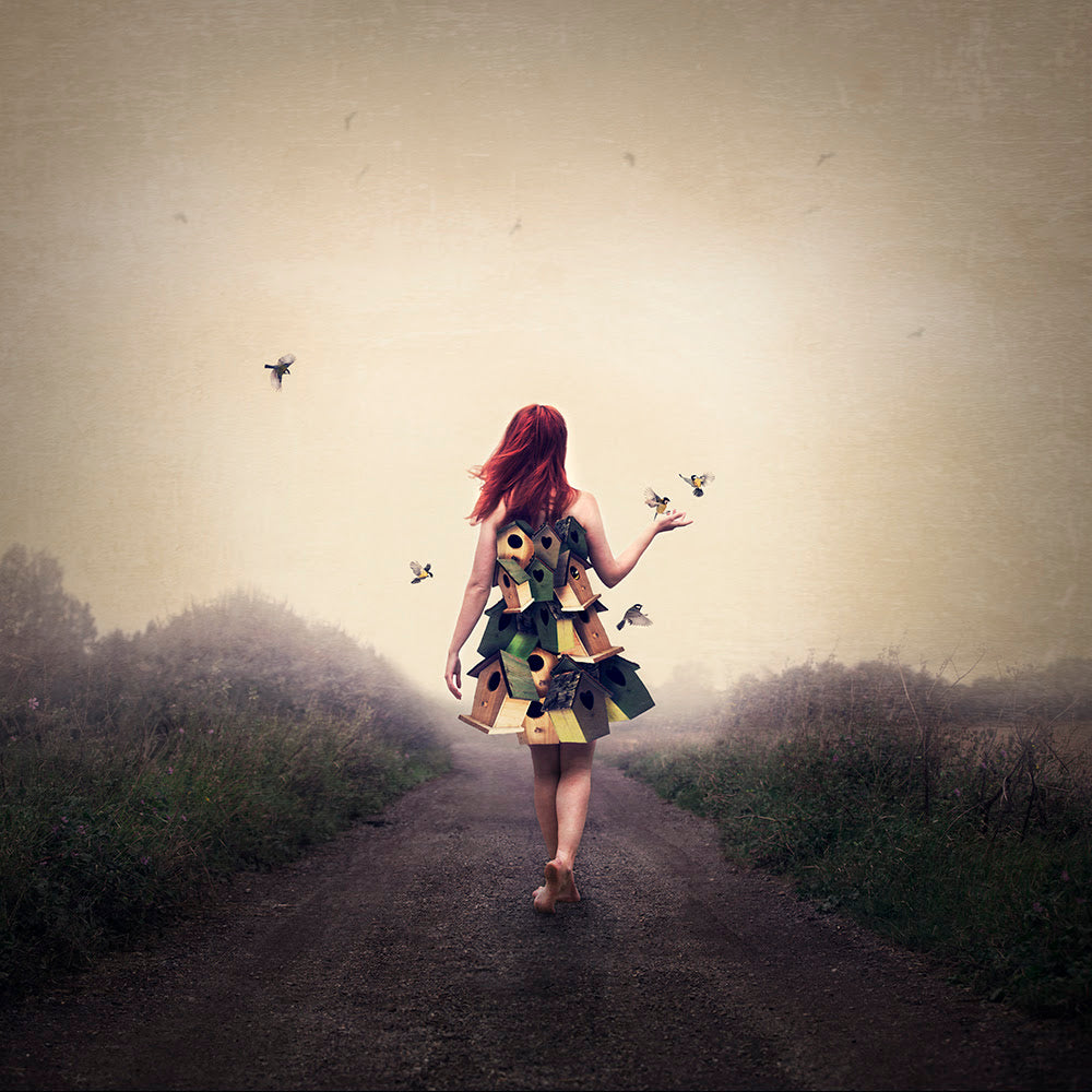 bord box print by artist michelle mackie