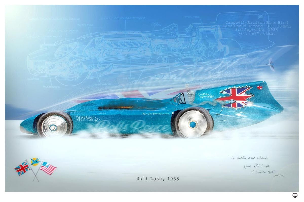 bluebird print by artist jj adams