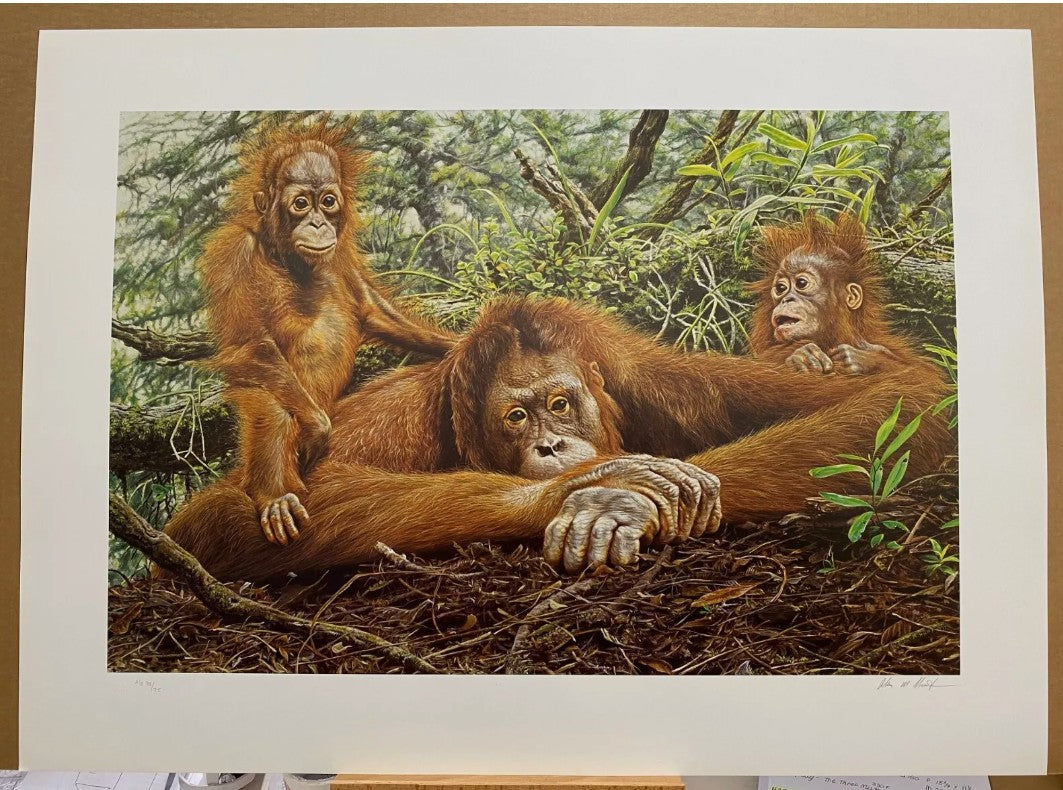 but this is our home print by artist alan hunt