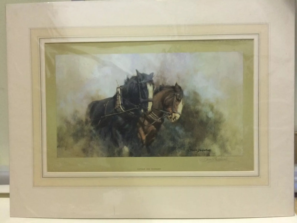 Captain and Sergeant