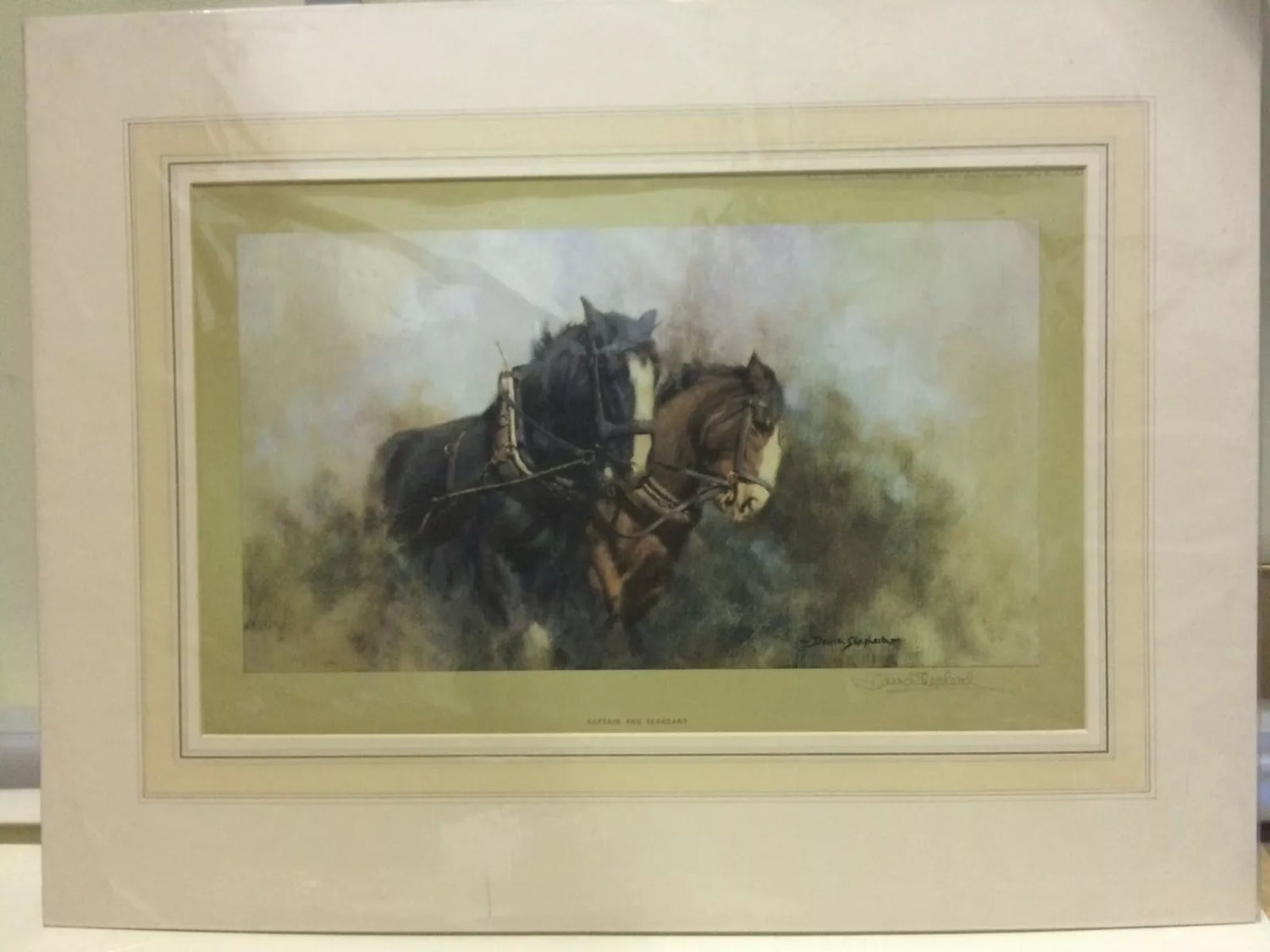 Captain and Sergeant