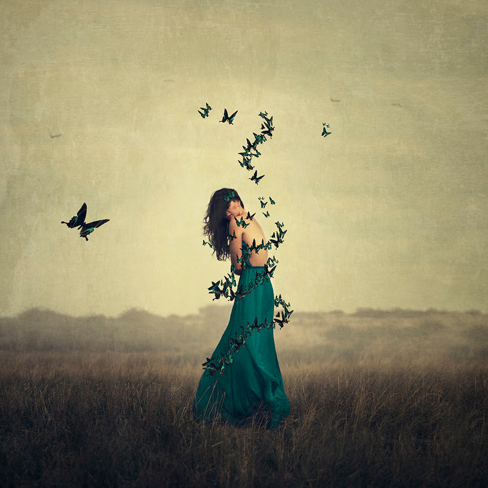 circle of wings print by artist michelle mackie