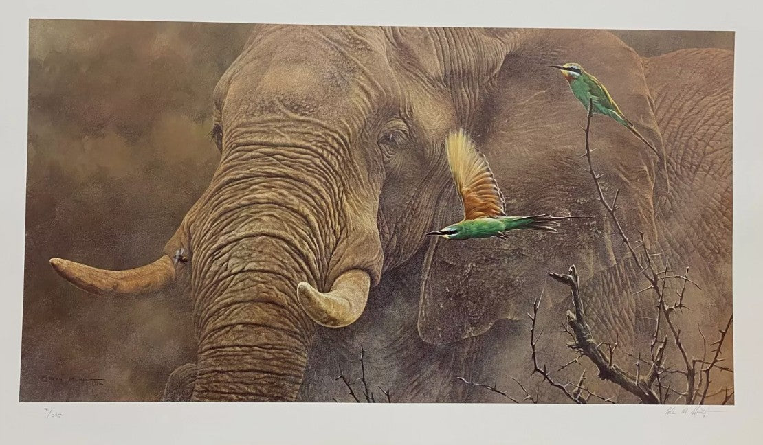 eat my dust print by artist alan hunt